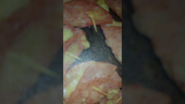 Люблю готовить #4 смотреть онлайн