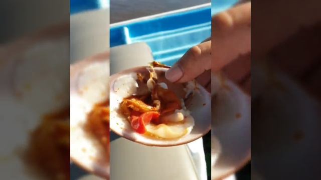 Русские в Мексике // Экзотическая еда смотреть онлайн