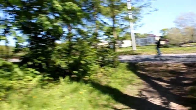 Где отдохнуть в Питере. Парк ЦПКиО.
