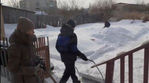 163/Дети чистят снег/Пушистый массажист/Проказница