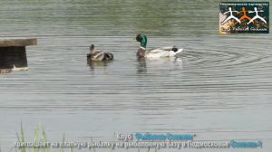 Рыбалка в Москве Клуб Рыболов Сосенки