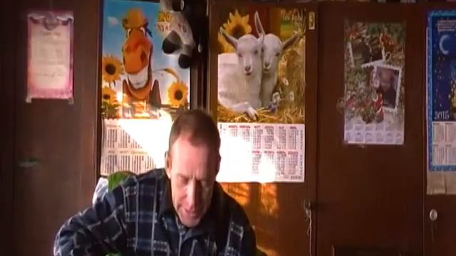 005 песня Про басни, сказки, легенды, якобы которые. смотреть онлайн