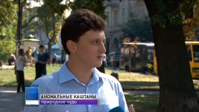 Природная аномалия: в Одессе зацвели каштаны смотреть онлайн