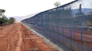 Так почему в Австралии не едят диких кроликов? Их же там миллионы!