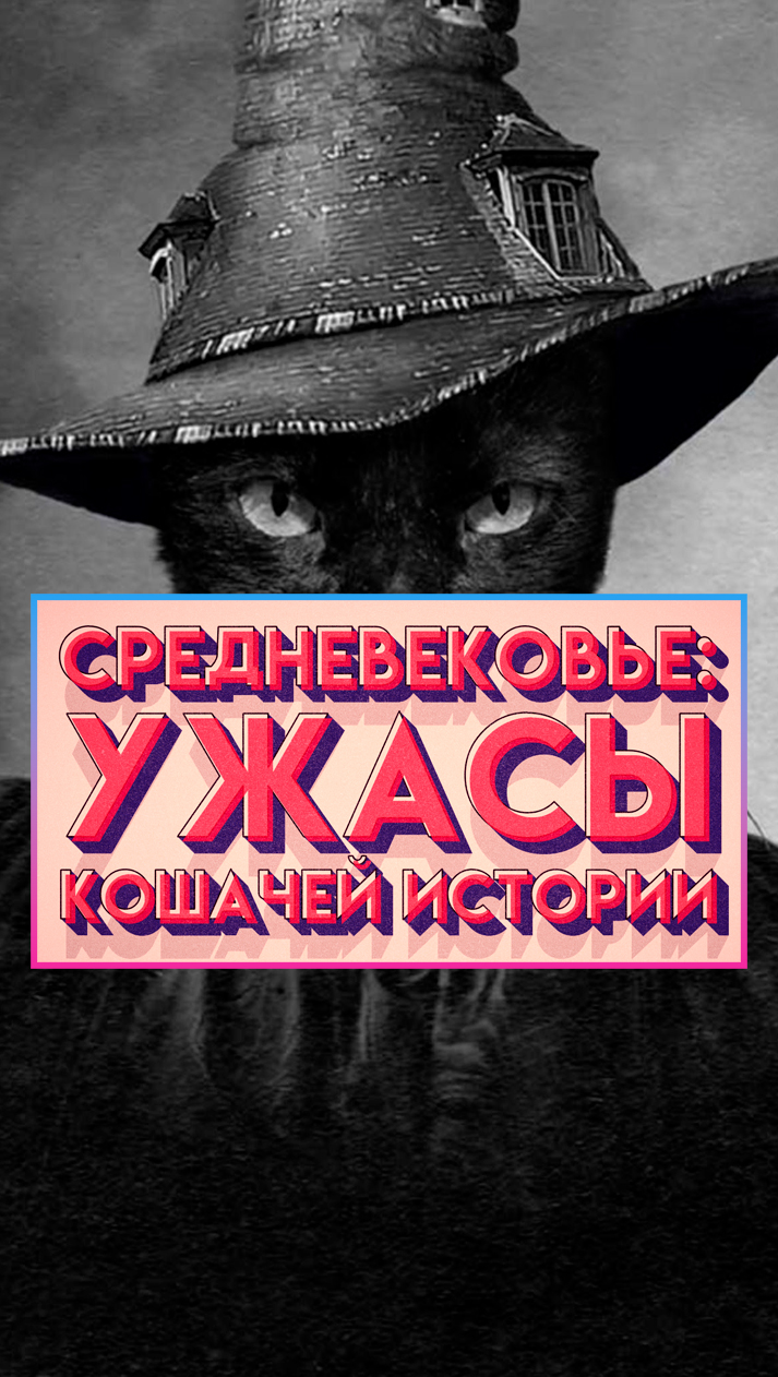 Средневоковье: ужас для кошек!😲 #shorts #кошки #средневековье