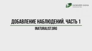 Загрузка наблюдений на iNaturalist. Часть 1.