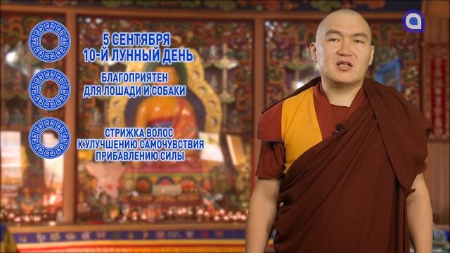 Опасности советы и новые друзья