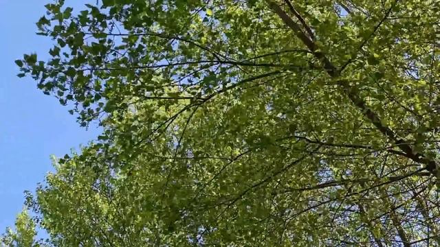 29 мая народный праздник Федоров день . Народные приметы и традиции. Что делать нельзя.