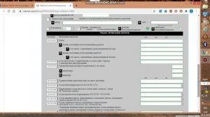 Как сдать 910 форму налоговой отчетности за 5 минут