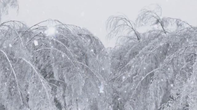 Новогодняя метель, новогодняя песня со словами, шоу-группа "Киндер Сюрприз"