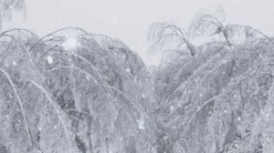 Новогодняя метель, новогодняя песня со словами, шоу-группа "Киндер Сюрприз"