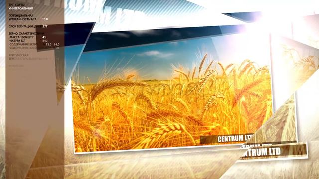 Centrum Пшеница PROMO смотреть онлайн