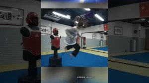 Самые СИЛЬНЫЕ боевые девушки