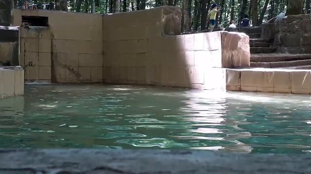 Таманский и Архиерейский лес в Ставрополе, источник, река и городское озеро, Ставрополь 2019.Парк.