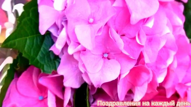 Как отпраздновать день рождения? Идеи празднования смотреть онлайн