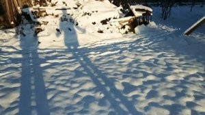 Зимой в деревне. Наш дом. Мини румтур. 5 декабря. Зимний салат в теплице.