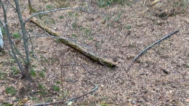 Урал национальный парк Оленьи ручьи 7 часть смотреть онлайн