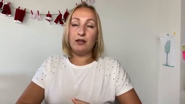 Как перевезти домашнее животное в США // Да, Америка!
