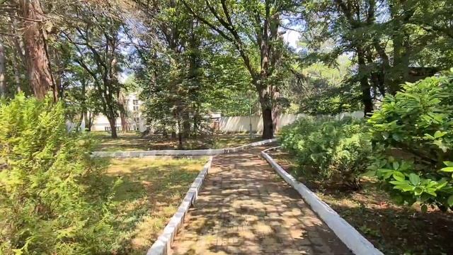 БЕТТА, черное море, санаторий, набережная, парк. Краснодарский край, обзор смотреть онлайн