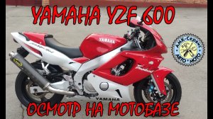 Oсмотр перед покупкой  Yamaha YZF600 Thundercat на мотобазе