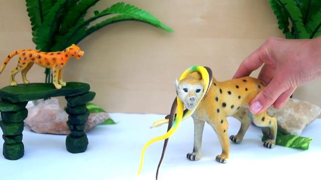 Животные. Леопард и змеи. Игрушки. Видео для детей