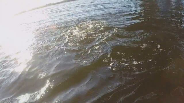 ЩУЧИЙ ДЕНЬ. СЕЗОН 2020 смотреть онлайн