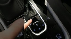 Hyundai Santa Fe|2020 / 2.4|4WD|AT / 6 000 km