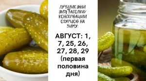 СОЛИМ ОГУРЦЫ НА ЗИМУ В БЛАГОПРИЯТНЫЙ ДЕНЬ! Лунный календарь 2021 - даты консервации огурцов