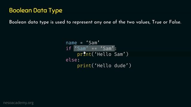 Basic Data Types in Python (Part 2)