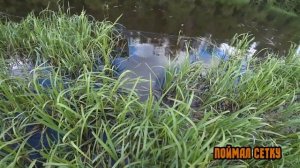 РЫБАЛКА НА ГОЛАВЛЯ И ЩУКУ В ЛЕНИНГРАДСКОЙ ОБЛАСТИ НА РЕКЕ МГА НА ХИЩНИКА В БОЛОТНИКАХ С БЕРЕГА 2022