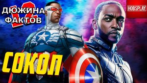 12 Фактов Сокол / Cэм Уилсон
