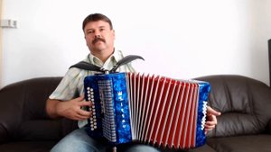 Игра на Гармошке. Андрей Райхерт. Мелодия Вологда