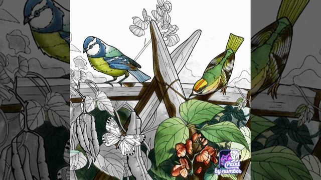 как нарисовать синицу и острохвостовую нектарницу смотреть онлайн