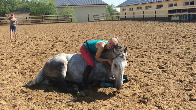 Верховая езда на лошади без седла и уздечки. смотреть онлайн