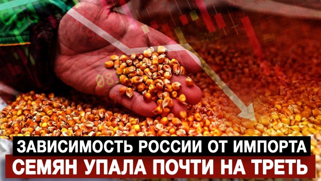 Зависимость России от импорта семян упала почти на треть