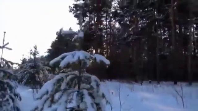 "СКАЗКА от автора".ДИНА БАКУЛИНА в библиотеке П.И.Мельникова-Печерского НиНо 25.02.2022 смотреть онлайн