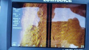 HOOK REVEAL датчик АИ 3 В1