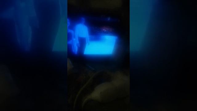 колядование