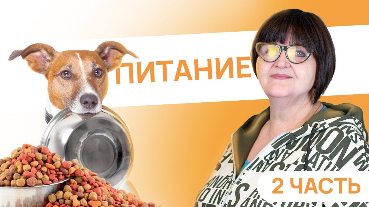 Питание от щенка до взрослой собаки - 2 Часть - Как кормить собаку сухим кормом? - Питание собаки
