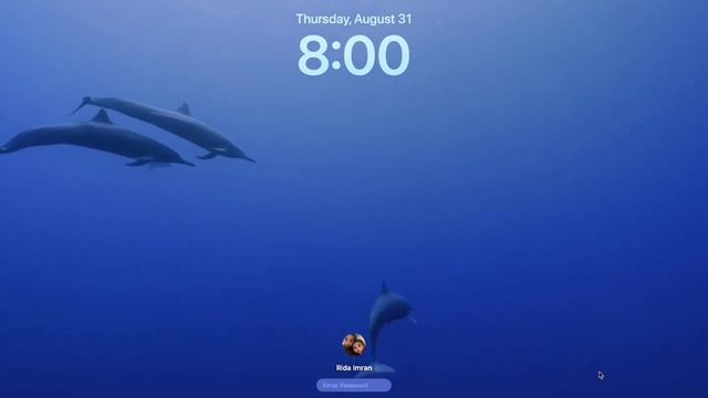 macOS Sonoma 14 Beta 7 new aerial wallpapers and animated screen savers смотреть онлайн