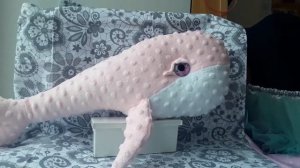Игрушка кит. Мягкая игрушка кит из плюша с красивыми глазами.