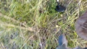 Металлоискатель MD4030,нашел отличное железо