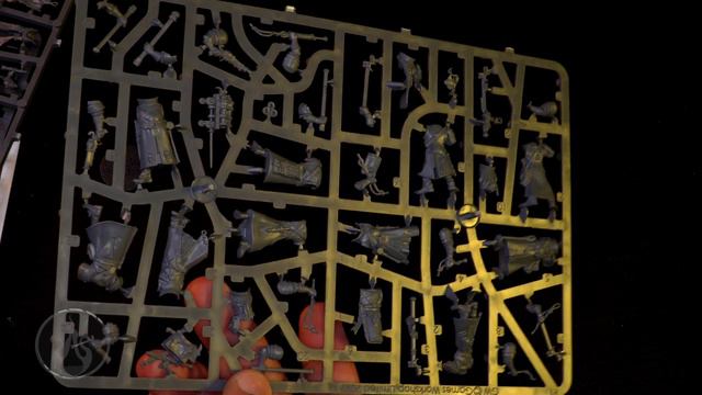 Unboxing Freeguild Fusilliers Cities of Sigmar Warhammer Age of Sigmar #tabletopgaming