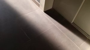 Яндекс Курьер на велосипеде в Сентябре
