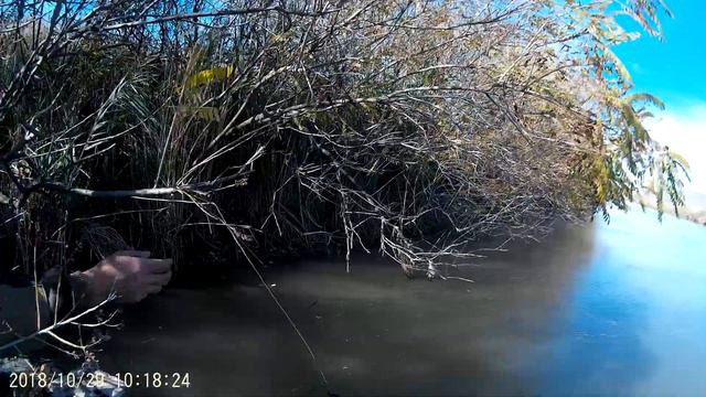 невинномысский канал канальный сом! смотреть онлайн