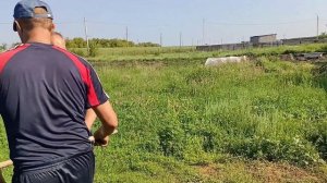 Установили эл.пастух. Помощь новичкам.