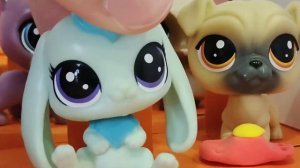 lps.5 типов людей в кинотеатре .