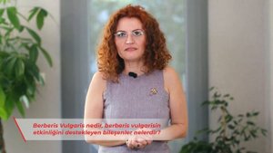 Berberis Vulgaris Nedir?