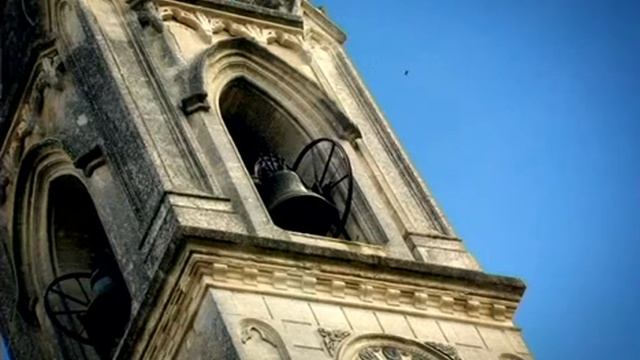 Насекомые Муха Бездомная муха смотреть онлайн