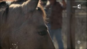 Etre cheval_France 4_P1